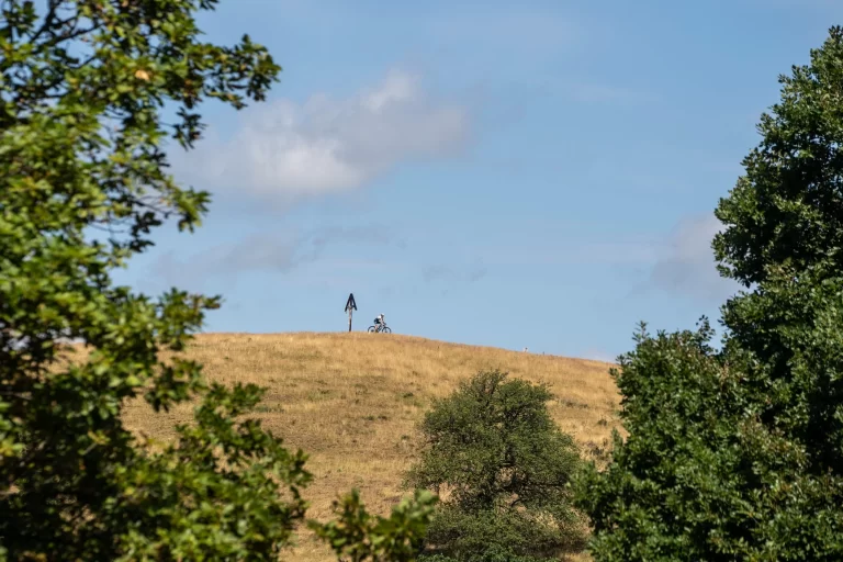 Gusterita Mountain Bike Sibiu 2026 13