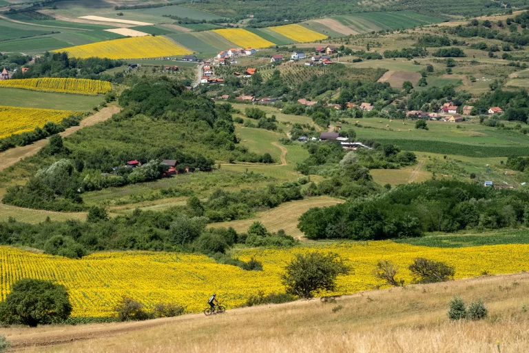 Gusterita Mountain Bike Sibiu 2026 14